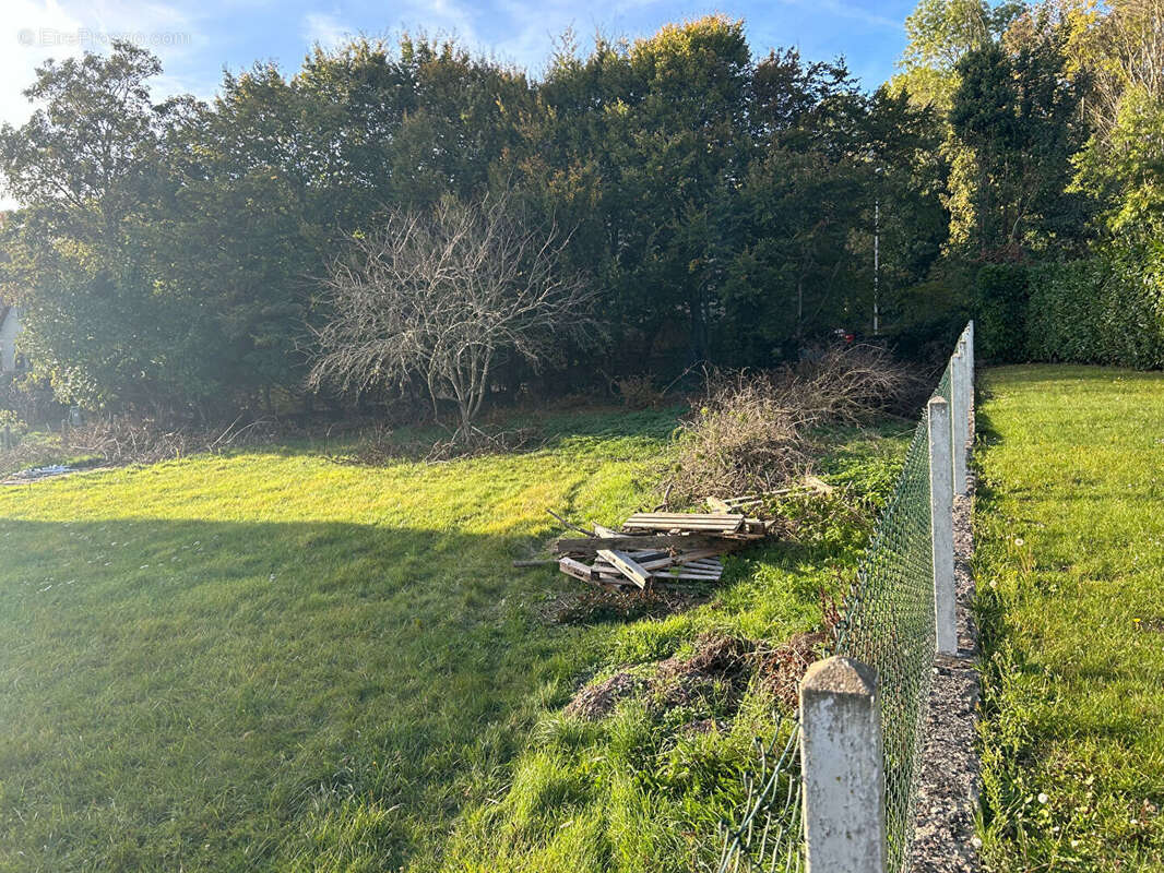 Terrain à MONDEVILLE