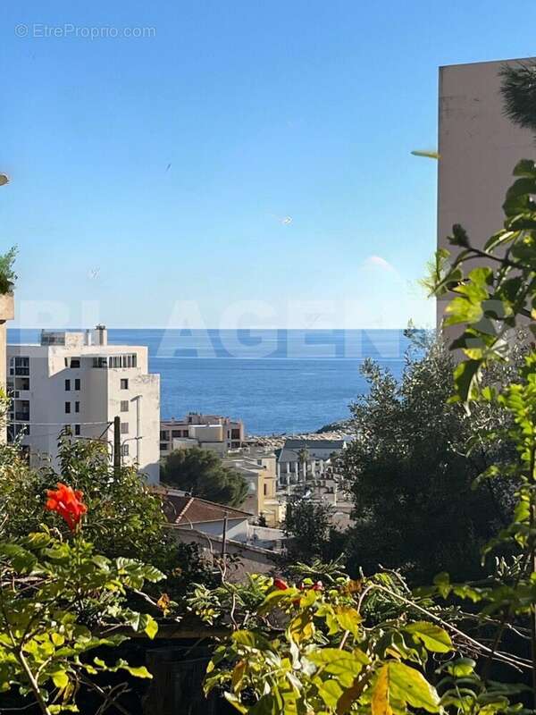 Design sans titre (6) - Maison à VILLE-DI-PIETRABUGNO