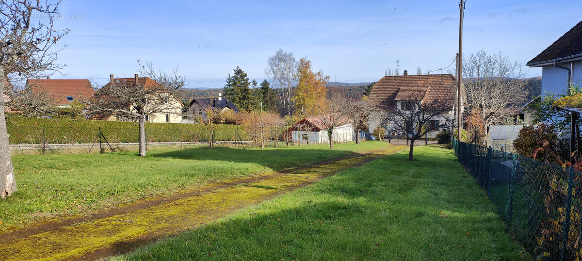 Terrain à MOLLKIRCH
