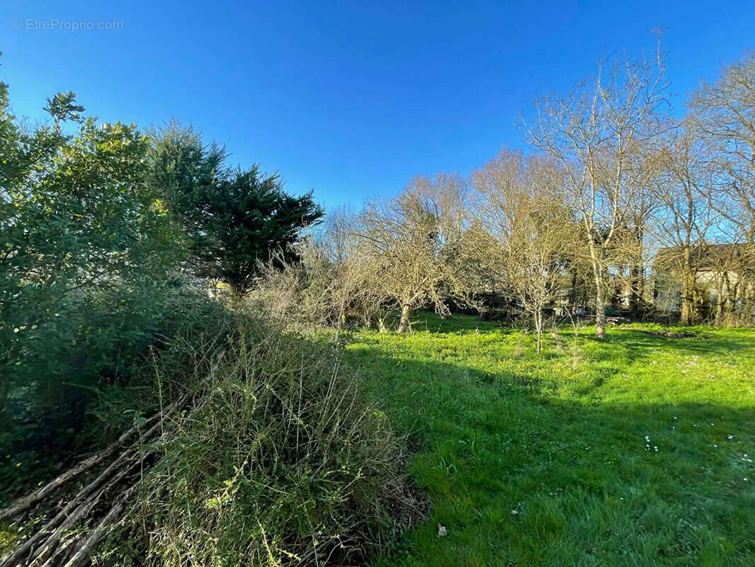 Terrain à ROUANS