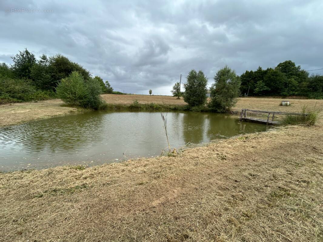 Terrain avec petite pièce d'eau - photo 2