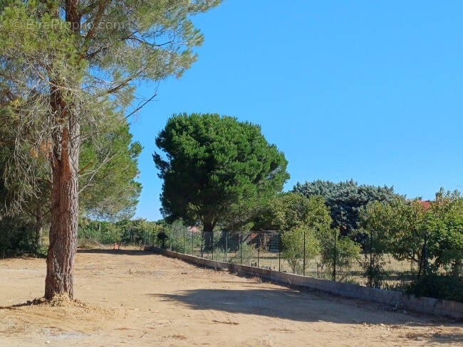 Terrain à ELNE