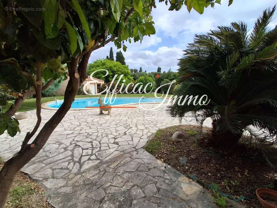 Maison 6P sur terrain de 2100m² avec piscine et dépendance - photo 15