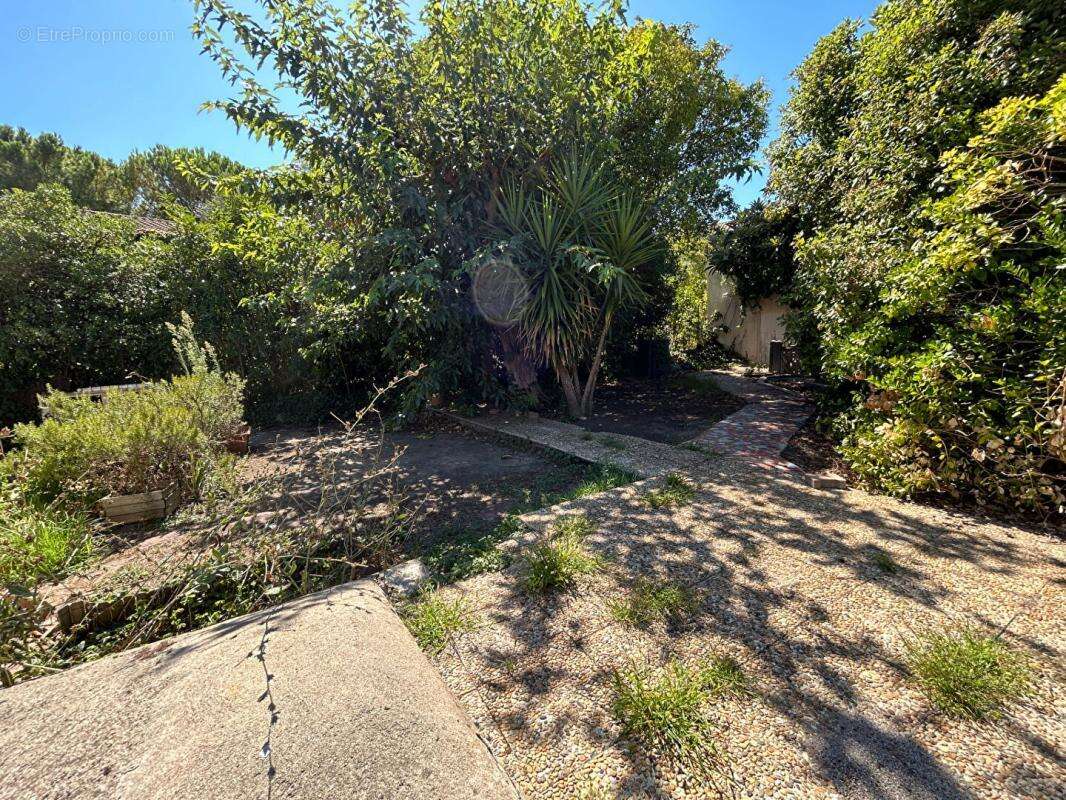 Maison à MONTPELLIER