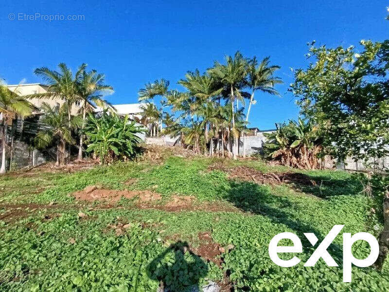 Terrain à LE TAMPON