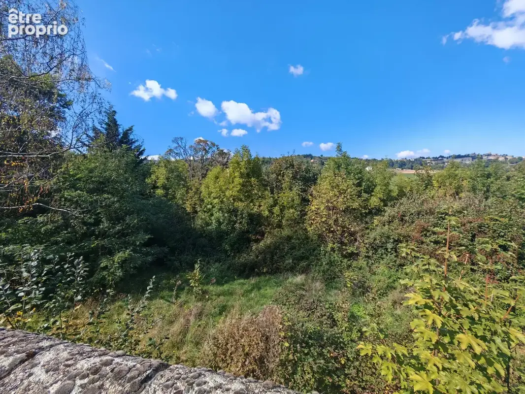 Ensemble immobilier avec fort potentiel sur plus de 1,6ha de terrain - photo 4