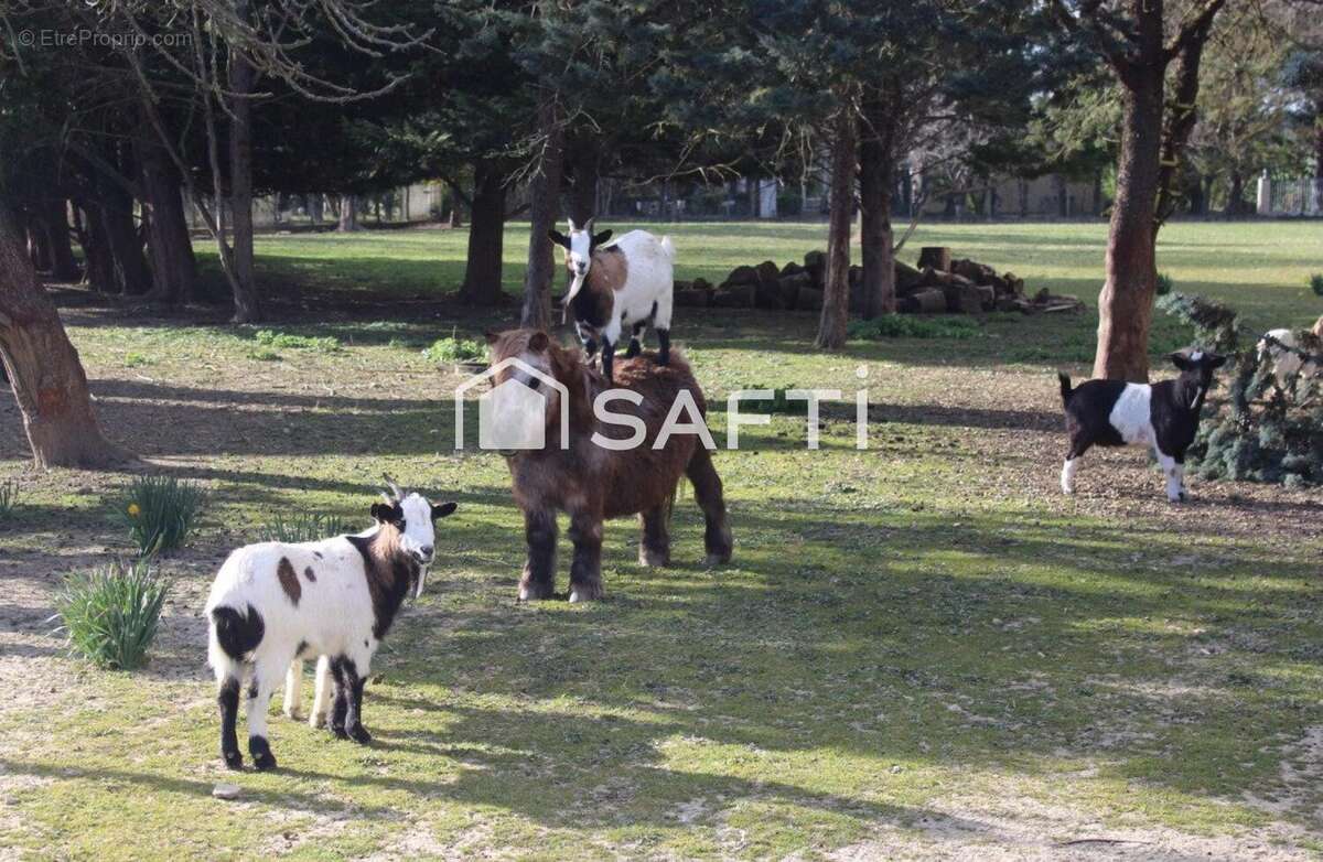 Photo 9 - Maison à SAINT-JULIA