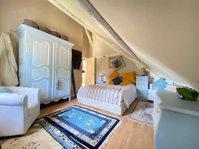 Maison à CHAINTREAUX