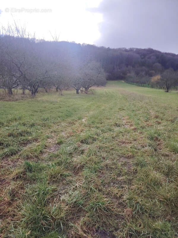 Terrain à RONVAUX