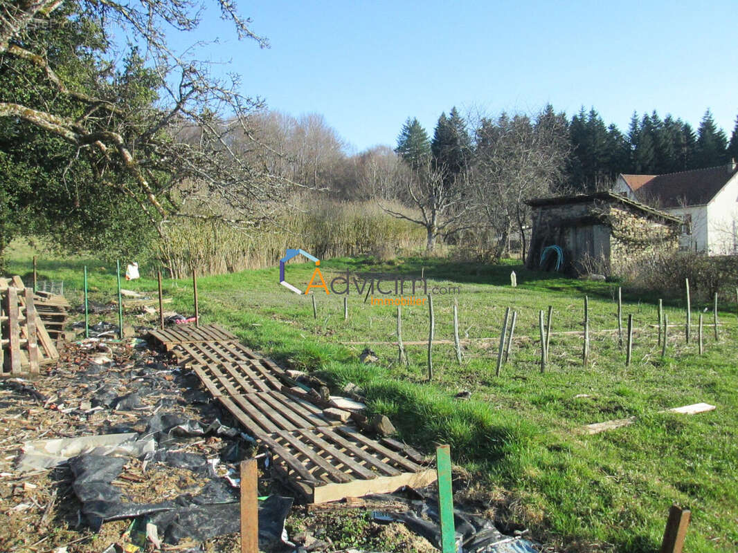 Terrain à AILLEVILLERS-ET-LYAUMONT