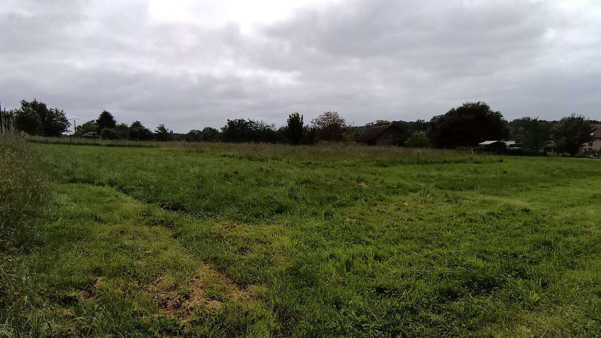 Terrain à PHALSBOURG