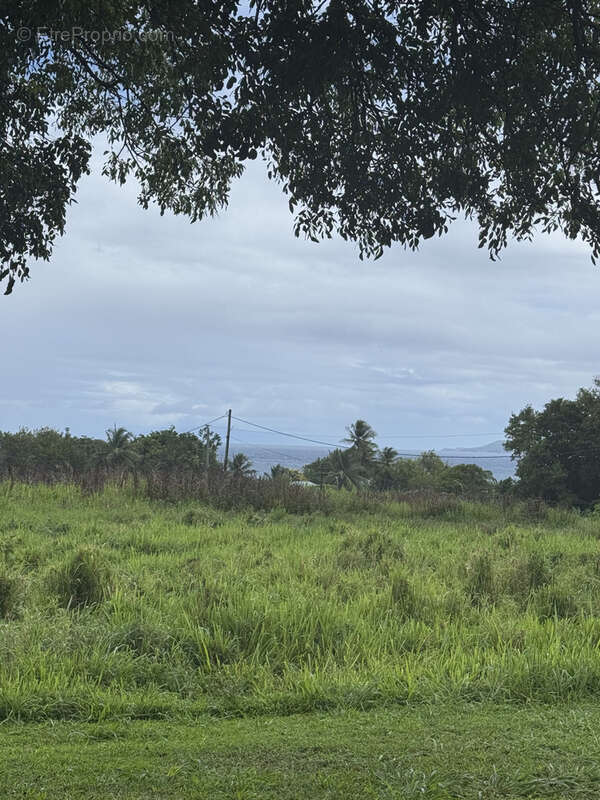 Terrain à CAPESTERRE-BELLE-EAU