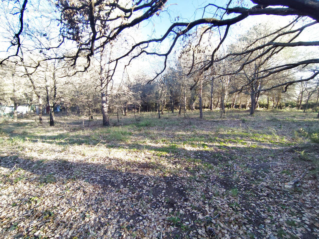 Terrain à ARGELES-SUR-MER