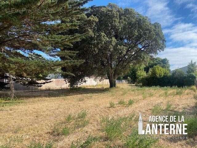 Terrain à SAINT-PIERRE-D'OLERON