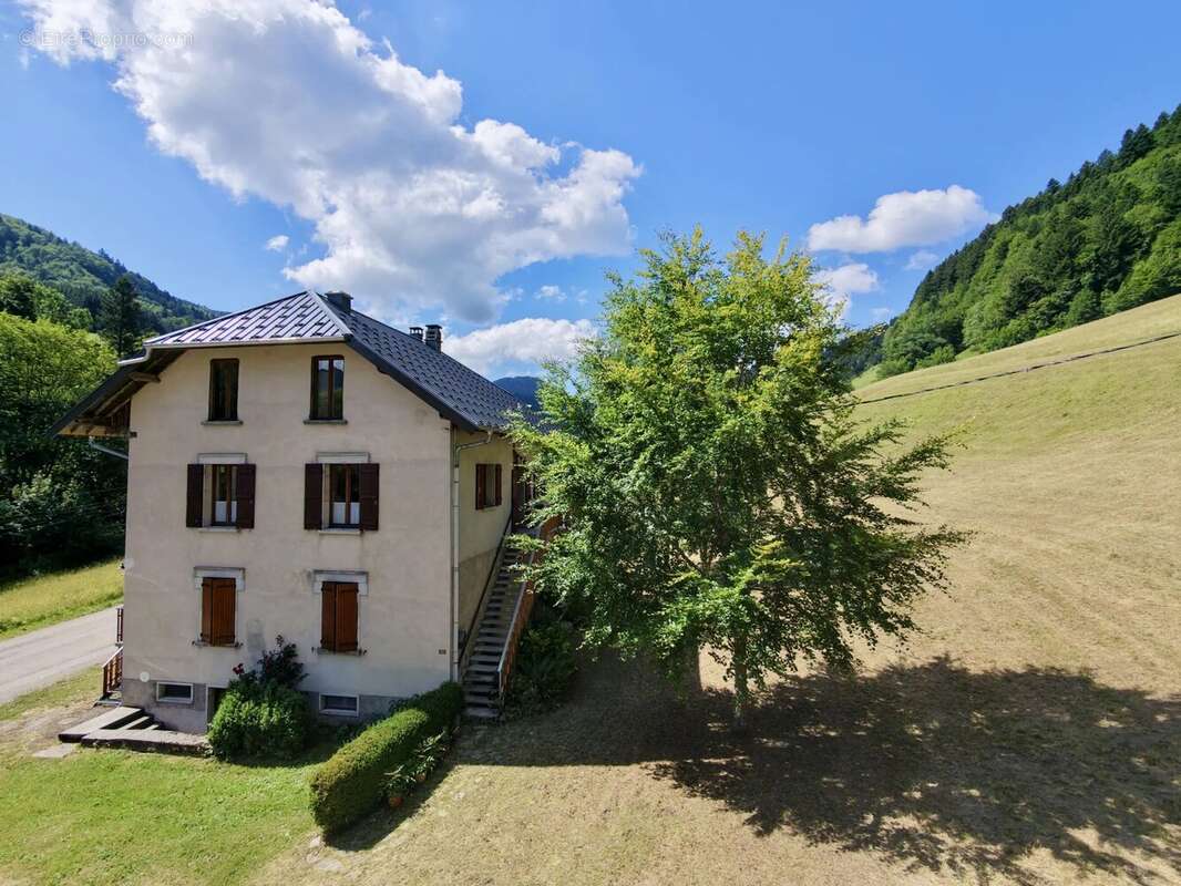 Grange à rénover et grand appartement - photo 4