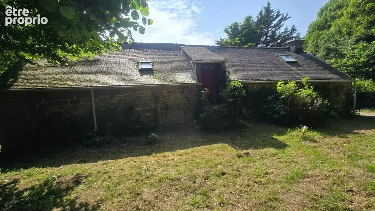 Au cœur de la forêt - photo 12