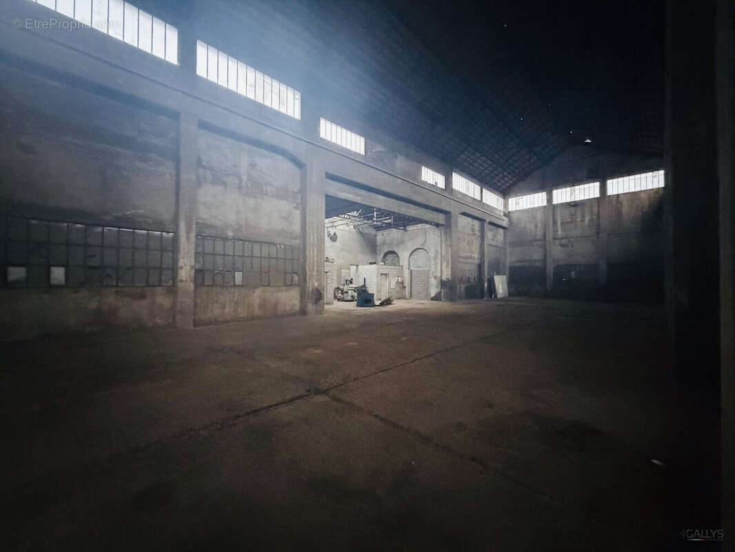 Commerce à TUCQUEGNIEUX