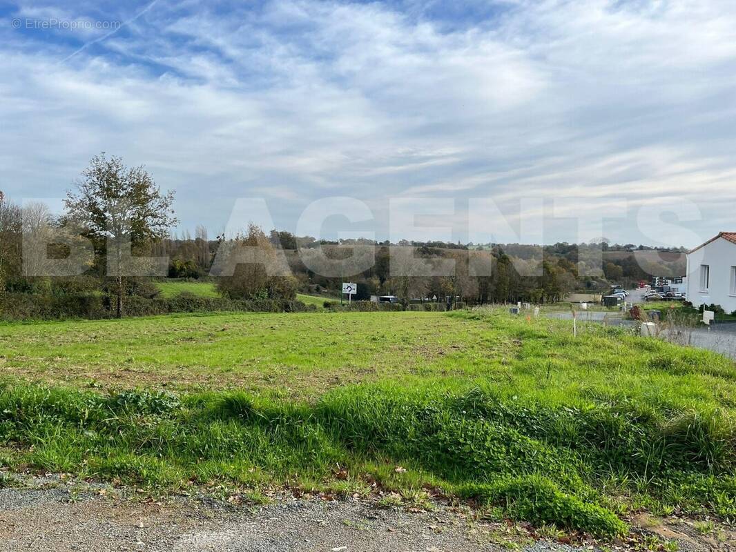 IMG-20251129-WA0004 - Terrain à MOUCHAMPS