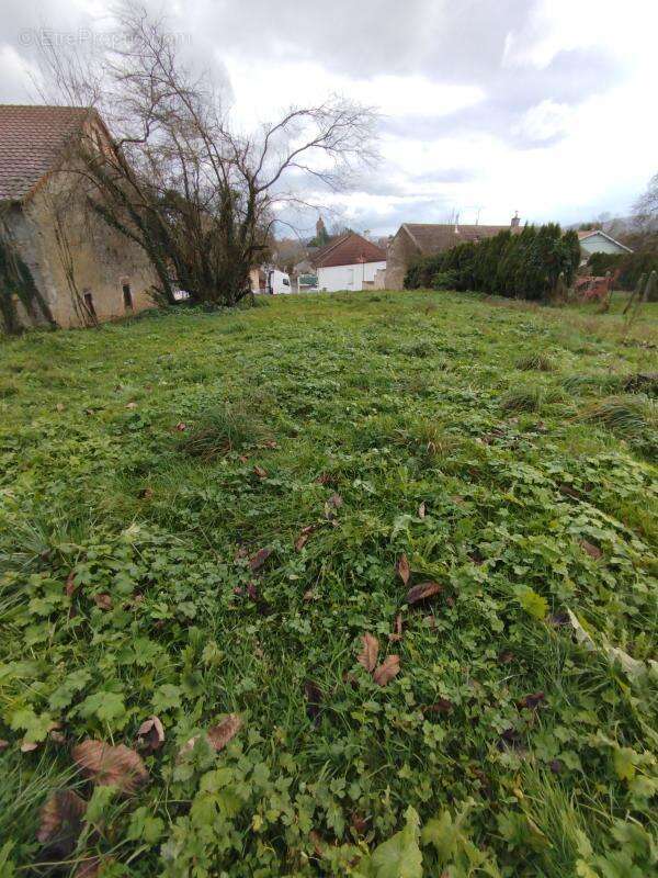 Terrain à ABELCOURT