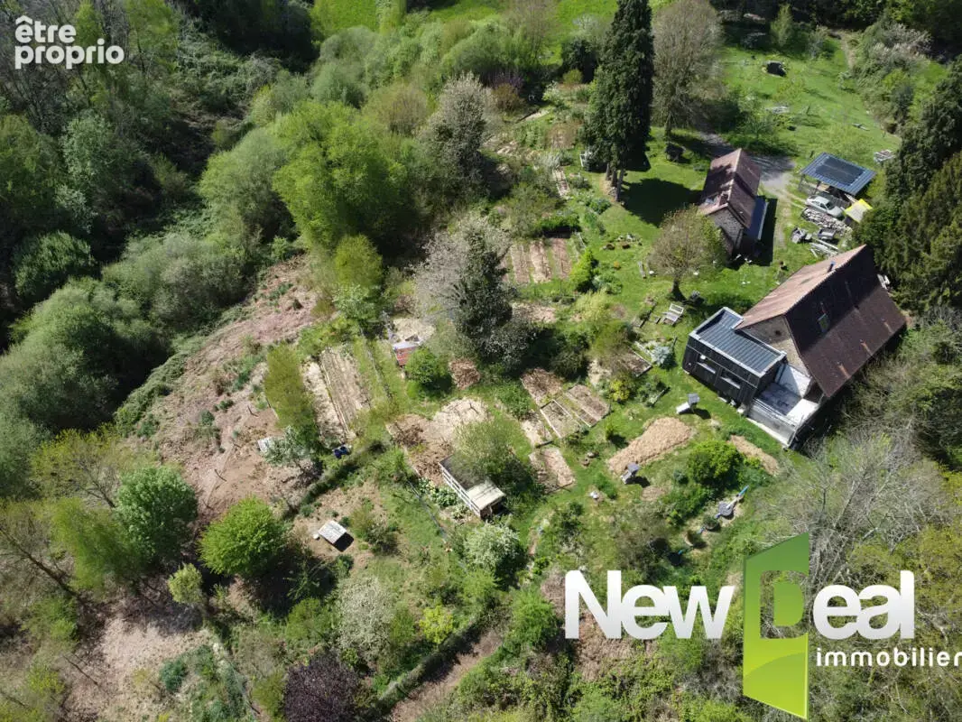 Ferme vivrière BIO et autonome de 7,5 hectares – Un havre de nature, d'autonomie et de sérénité - photo 17