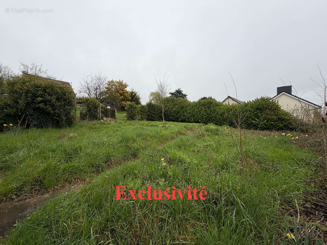 Terrain à MONTREUIL-LE-GAST