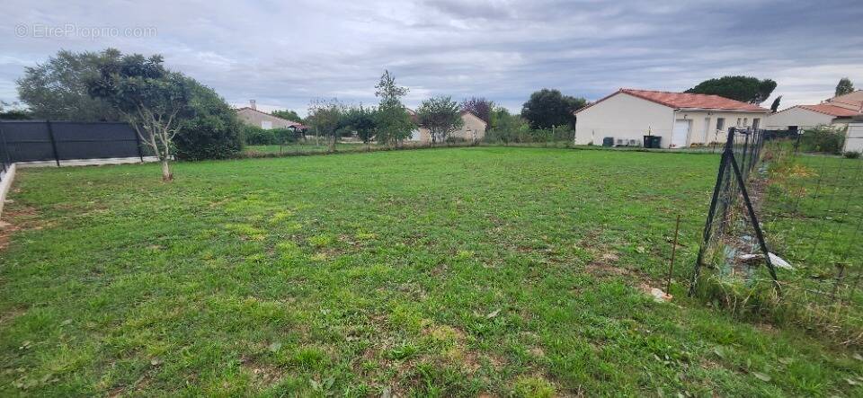 Terrain à LAGRAVE