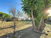 Terrain à SAINT-FELIU-D'AMONT