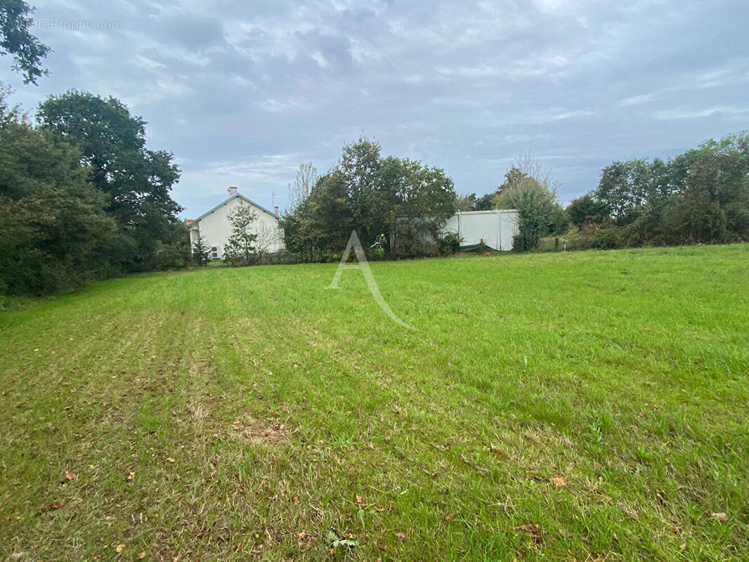 Terrain à LA MOTHE-ACHARD