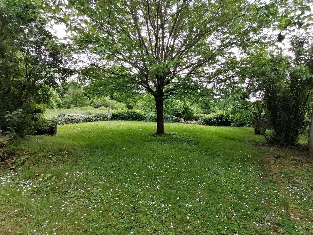 Maison à SAINT-SULPICE-LES-FEUILLES