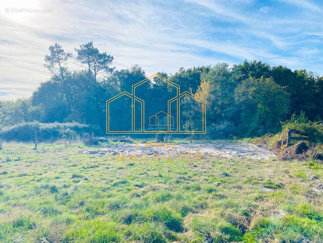 Terrain à SANGUINET