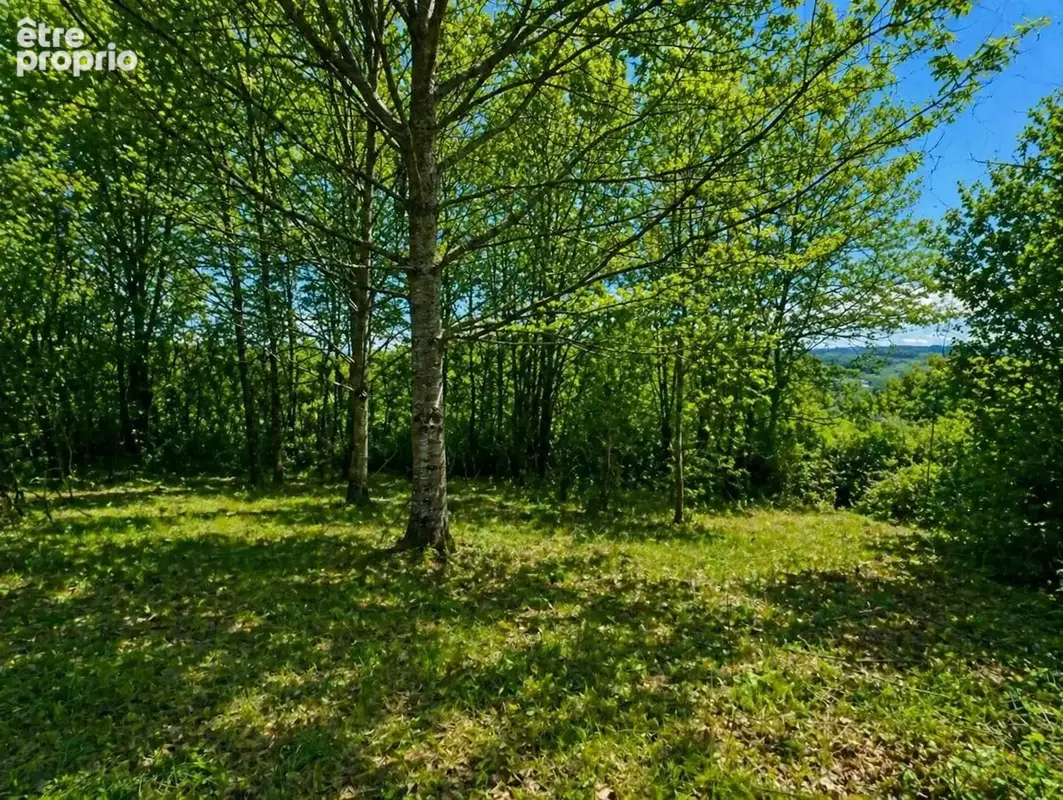Terrain à AGONAC