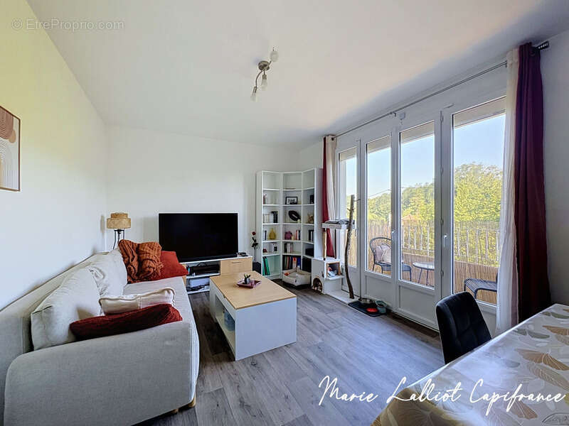 Appartement à vendre 2 pièces PITHIVIERS (45), 48m², balcon, cave, au calme - photo 2