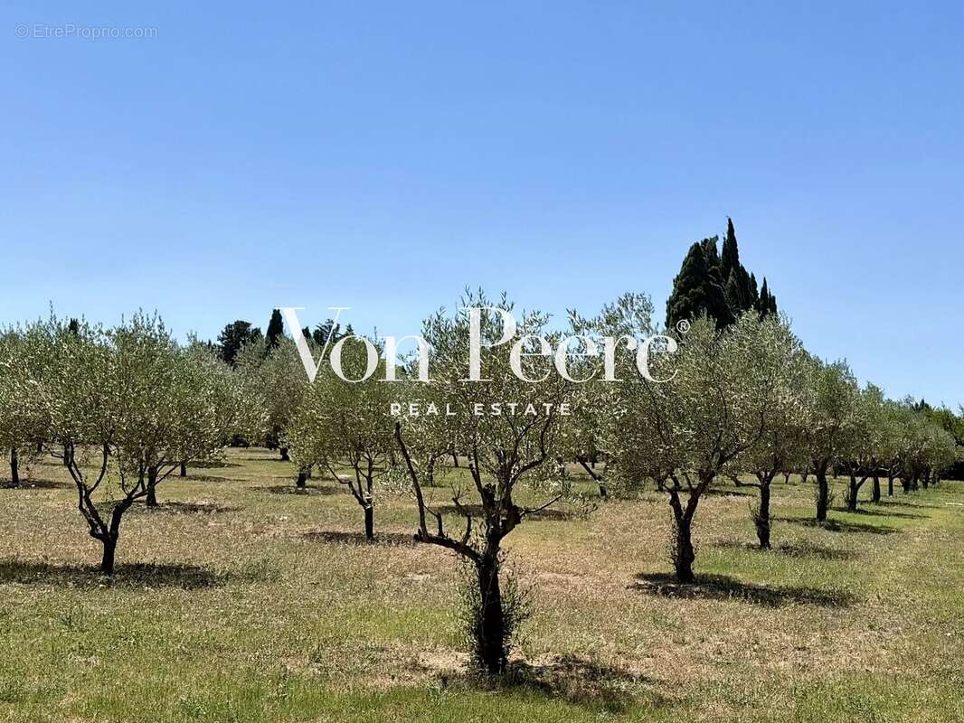 Mas rénové entre Avignon et Saint-Rémy-de-Provence - photo 17