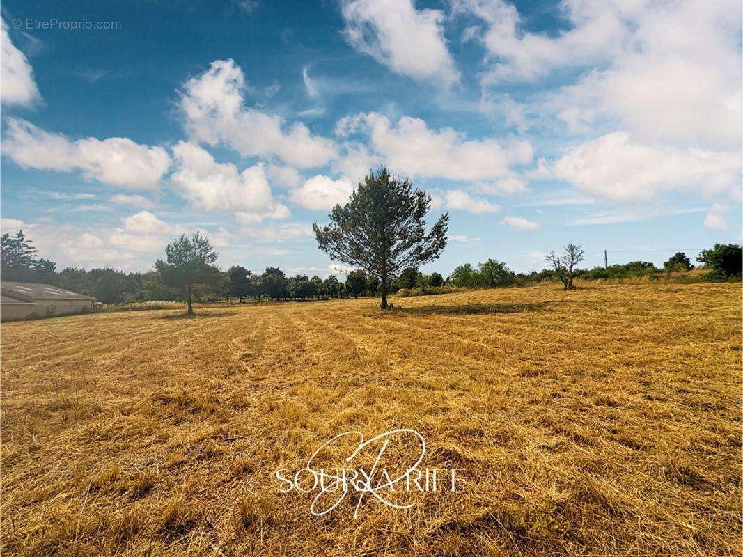 Terrain à VILLENEUVE-MINERVOIS