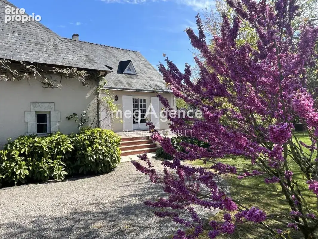 Maison à BOUCHEMAINE