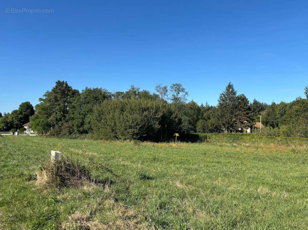 Terrain à CHALONS