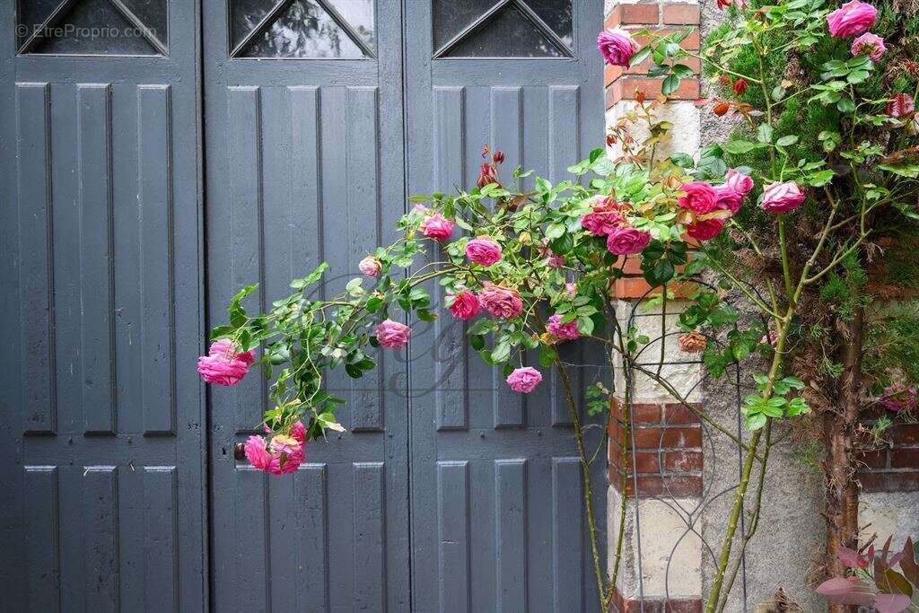 Indre et Loire - Hyper centre Tours - 37000 - Maison - 285 m2 - 5 chambres - garage - Jardin - photo 23