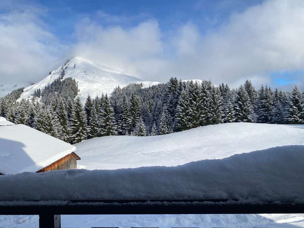 Appartement à TANINGES