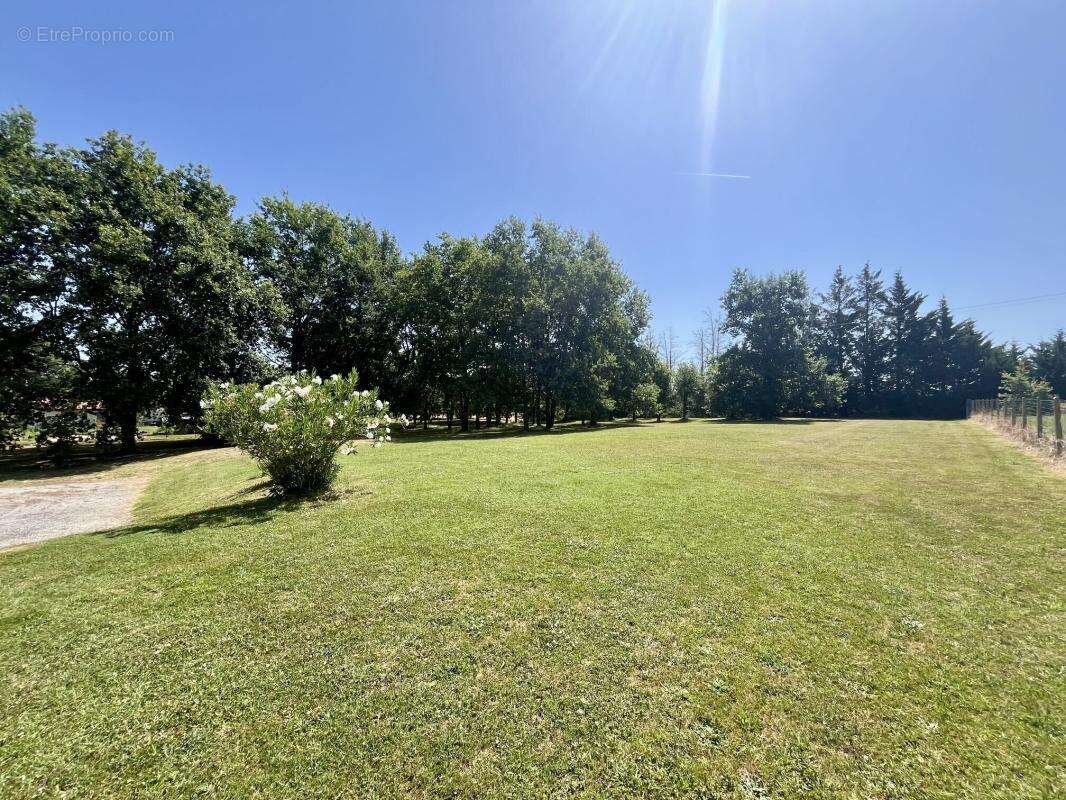 Terrain 3420 m² à Montauban  - photo 3