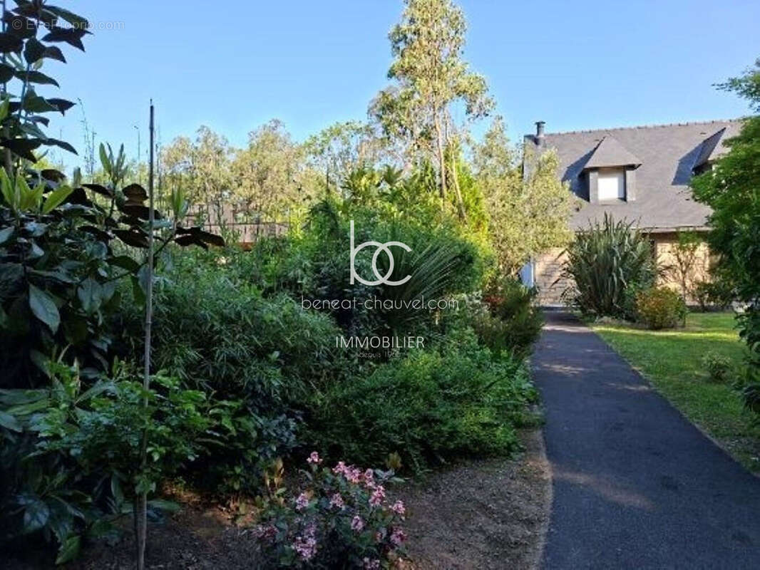 Île-aux-Moines Maison d'architecte dans écrin arboré - photo 11