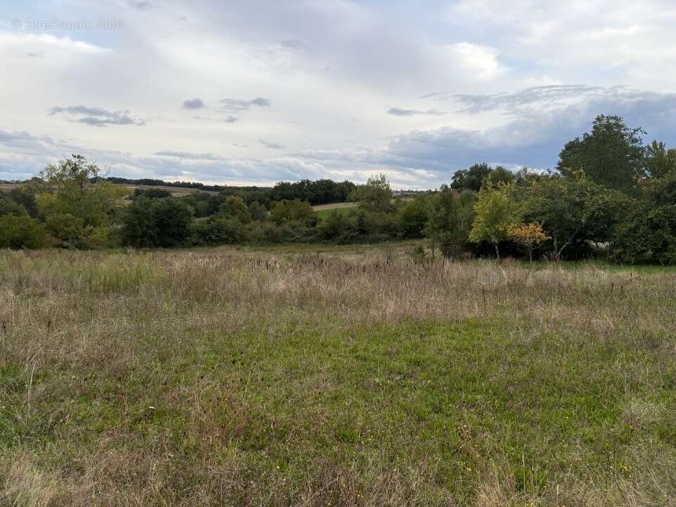 Terrain à ROQUESERIERE