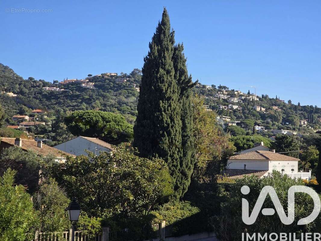 Photo 2 - Appartement à LE LAVANDOU