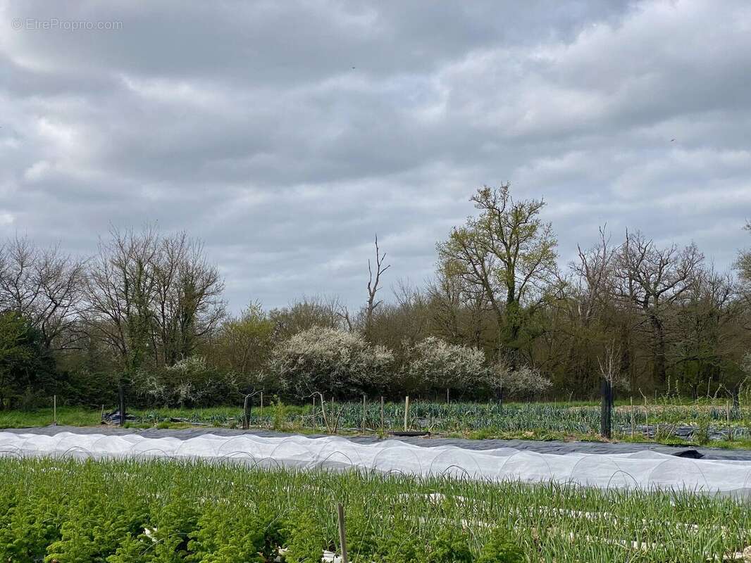 Charmante ferme rénovée avec grande grange, nombreuses dépendances, étang et plus de 9,6 hectares de terrain - photo 18