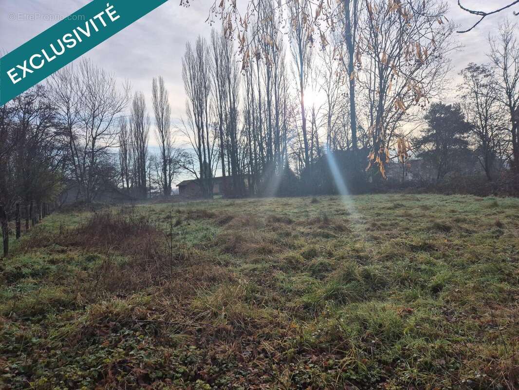 Photo 2 - Terrain à SENTHEIM