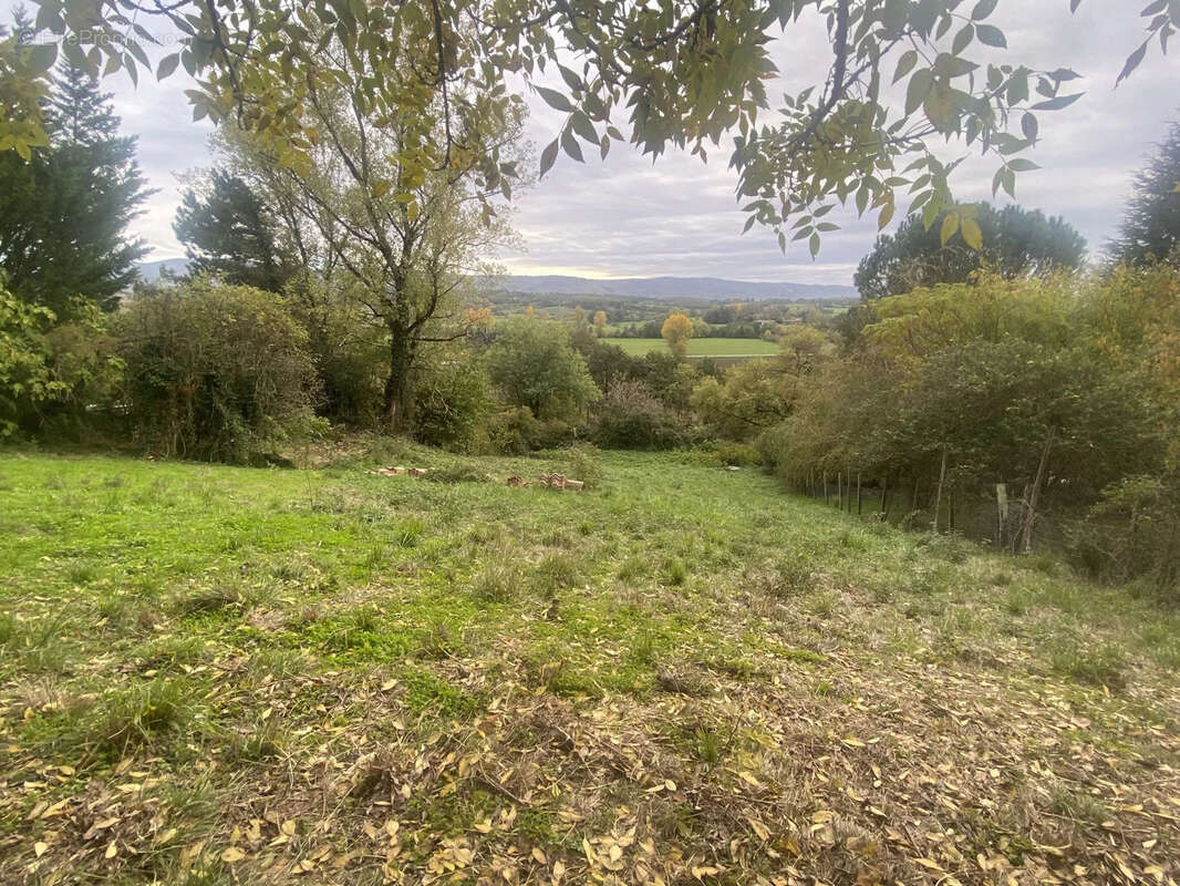 Terrain à VIVIERS-LES-MONTAGNES