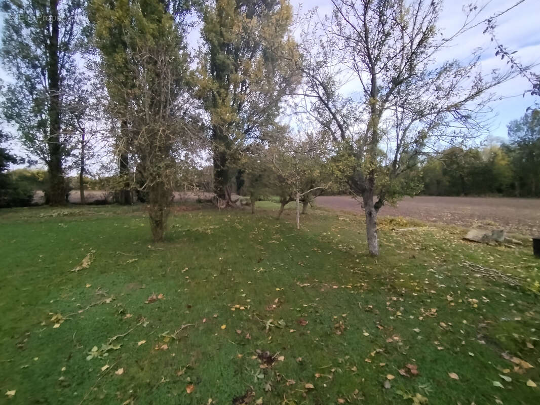 Maison à SAINT-MARTIN-DE-BERNEGOUE