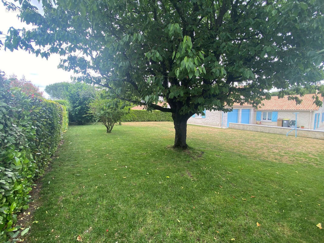 Photo 6 - Maison à AIFFRES