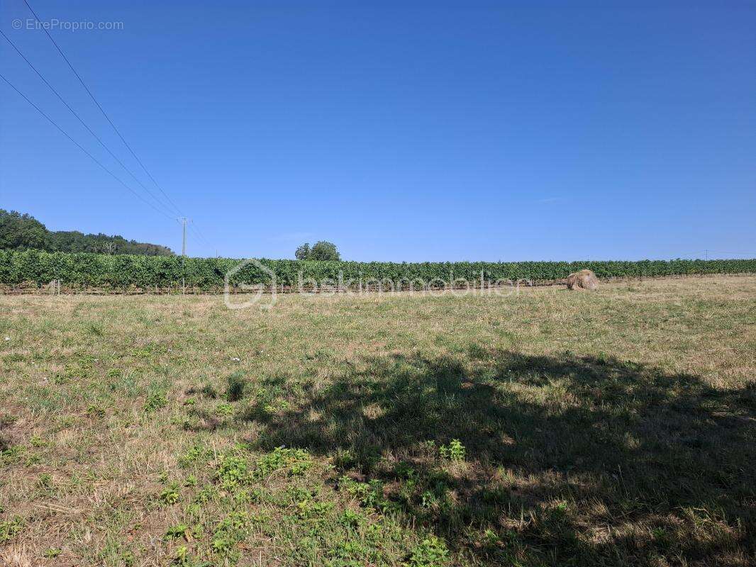 Terrain à bâtir 1490 m² – Mérignas (33350) - photo 3