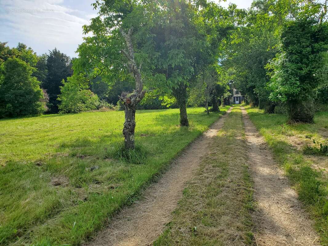 Maison 240 m² à Tizac-De-Lapouyade  - photo 24