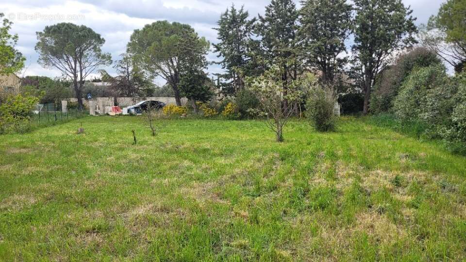 Terrain à SAINTE-CECILE-LES-VIGNES
